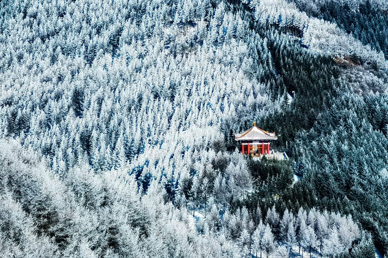 寧夏六盤山現霧凇美景。祁瀛濤攝